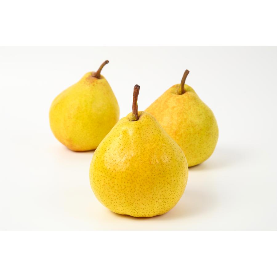 ＜アンスリーファーム＞西洋梨「ラ・ネージュ」2kg（5～8玉） 特秀品