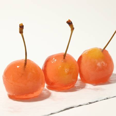 ＜サエグサファクトリー＞プチジェリチェリー8個入×2箱