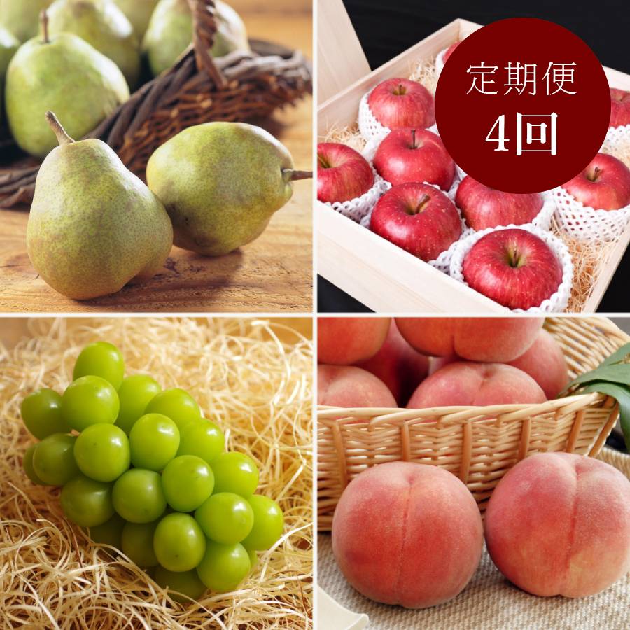 <丸松青果>令和8年産【特秀品】フルーツ 定期便 ~輝~全4回 (2026年8月~2026年11月出荷予定)