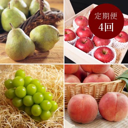 ＜丸松青果＞令和８年産【特秀品】フルーツ 定期便 ～輝～全4回　（2026年8月～2026年11月出荷予定）