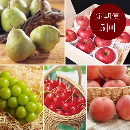 ＜丸松青果＞令和８年産【特秀品】フルーツ 定期便 ～和～全5回　（2026年6月～2026年11月出荷予定）