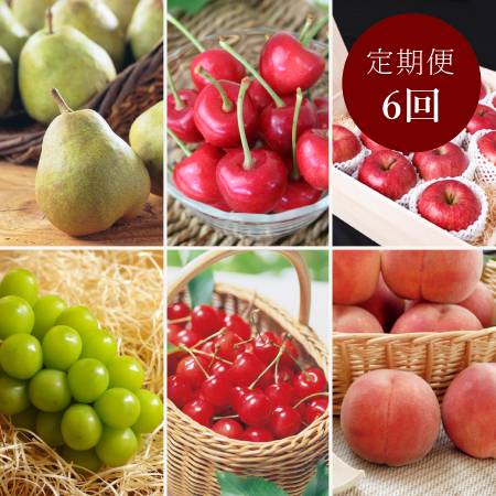 ＜丸松青果＞令和８年産【特秀品】フルーツ 定期便 ～雅～全6回　（2026年6月～2026年11月出荷予定）