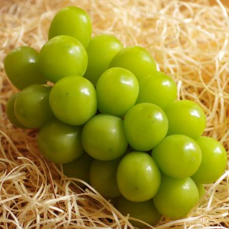 ＜丸松青果＞シャインマスカット特秀品1.4kg（2～3房） 桐箱入