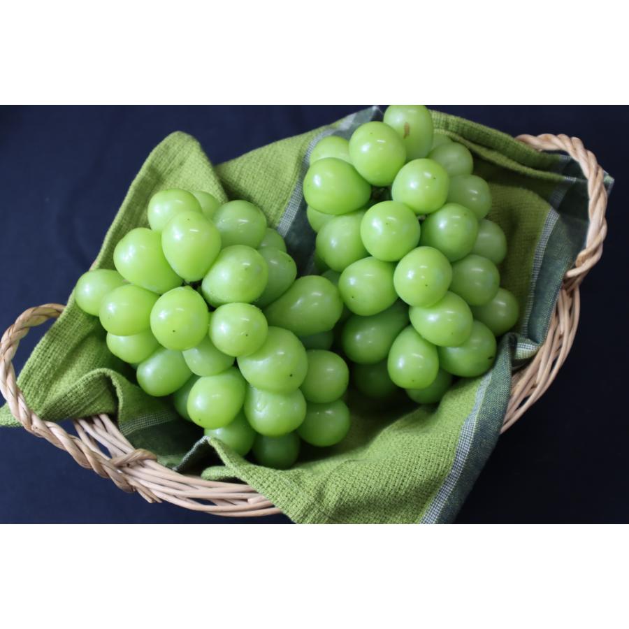 <丸松青果>シャインマスカット特秀品1.4kg(2~3房) 桐箱入