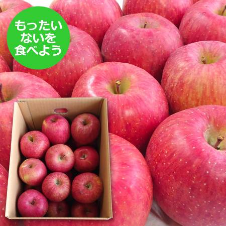 【もったいない！を食べよう】＜ジオンジファーム＞りんご（サンふじ）5kg