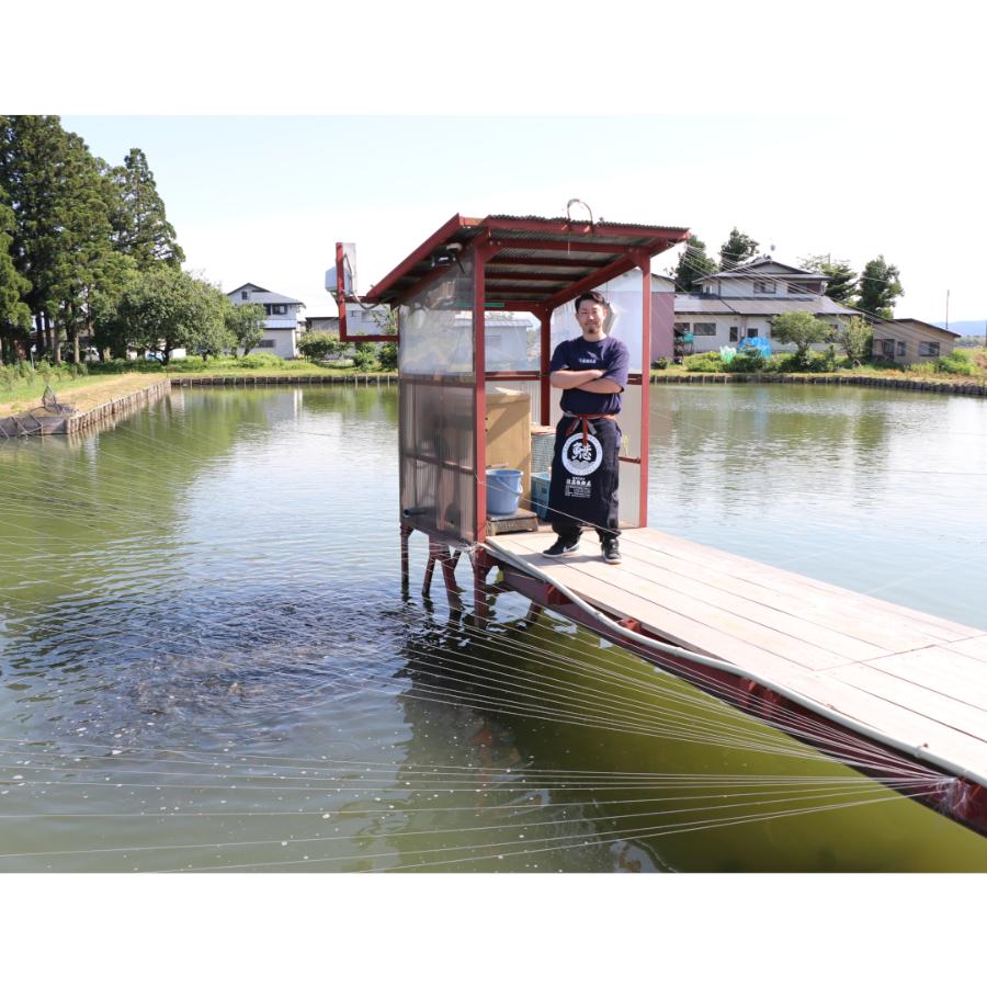 <高橋鯉屋>自社養殖ブランド鯉「宵桜」の甘煮5袋