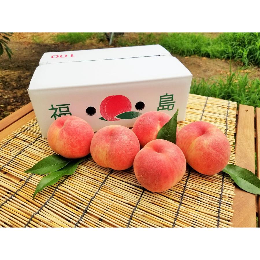 ＜菱沼農園＞旬の品種をお届け　福島の桃2kg相当(5～9玉)(M0061)