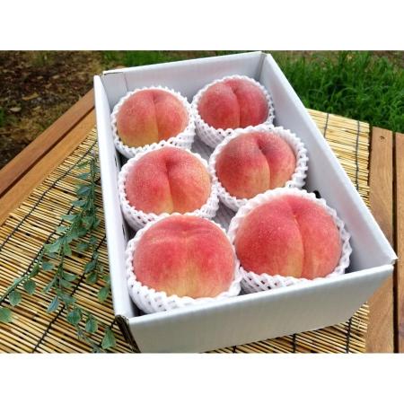 ＜菱沼農園＞旬の品種をお届け　福島の桃2kg相当(5～9玉)(M0061)