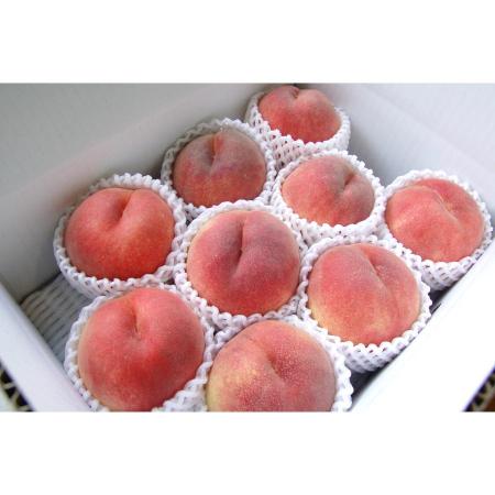 ＜菱沼農園＞旬の品種をお届け　福島の桃3kg相当(8～12玉)(M0062)