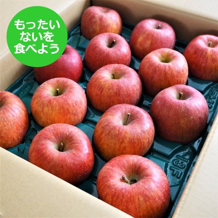 【もったいない！を食べよう】福島りんご（サンふじ）5kg（13～23玉）（M0092）