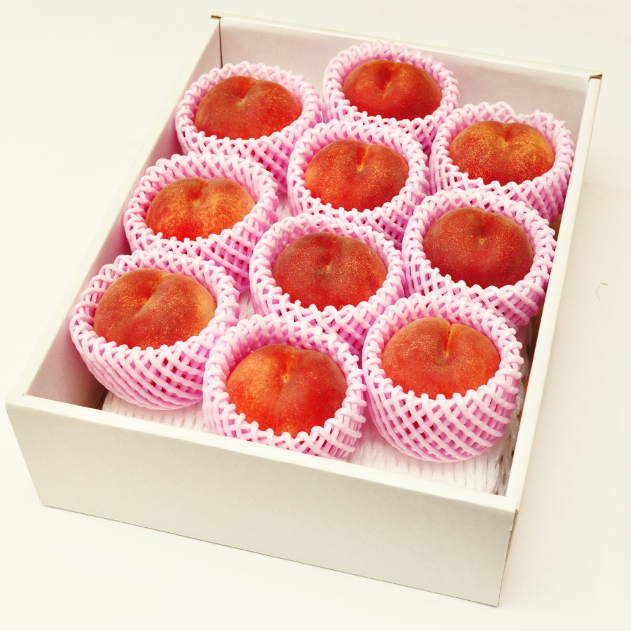 福島の白桃（品種おまかせ）3kg（7～11玉）（M0094）
