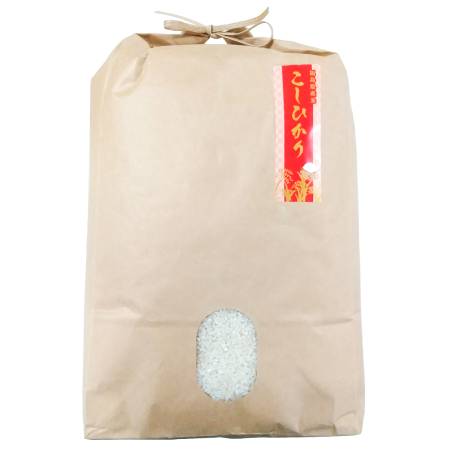 【令和8年産新米予約】福島の米　こしひかり　１０ｋｇ(M0098)