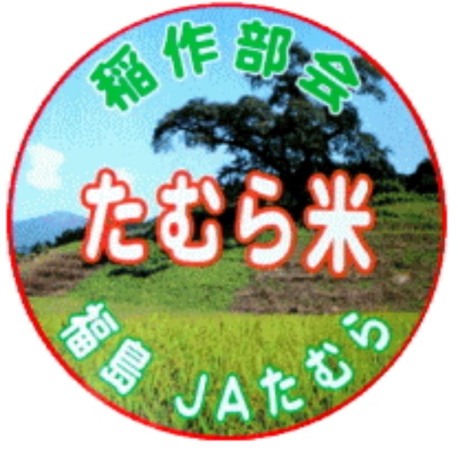 無洗米 コシヒカリ 15kg(5kg×3袋)