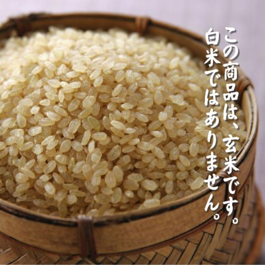 玄米 ひとめぼれ 15kg(5kg×3袋)