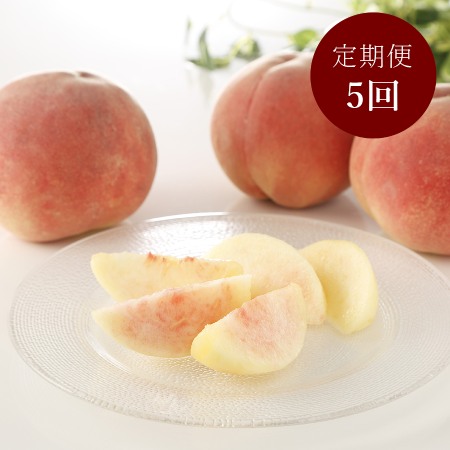 桃づくし定期便【献上桃の郷桑折町産桃3kg×5回】5品種の桃を味わう！定期便5回