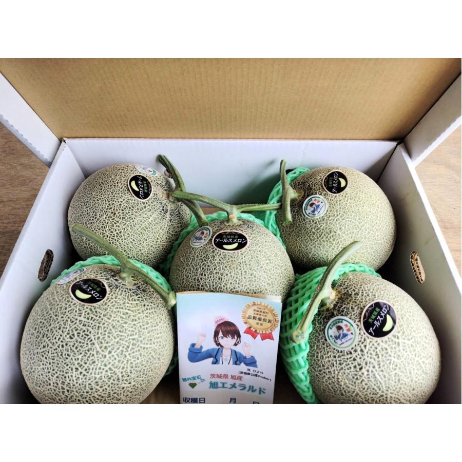 ＜長洲農園＞品質優良賞受賞 茨城県産 アールスメロン 特秀 5玉