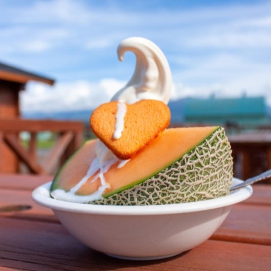 ＜長洲農園＞品質優良賞受賞 茨城県産 クインシーメロン 特秀 贈答規格 2玉