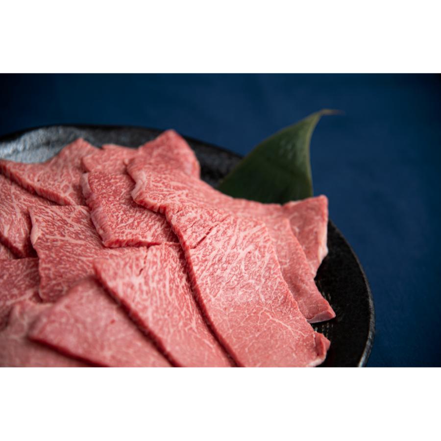 <藤井商店>常陸牛 赤身焼肉用(モモ・ウデ)450g