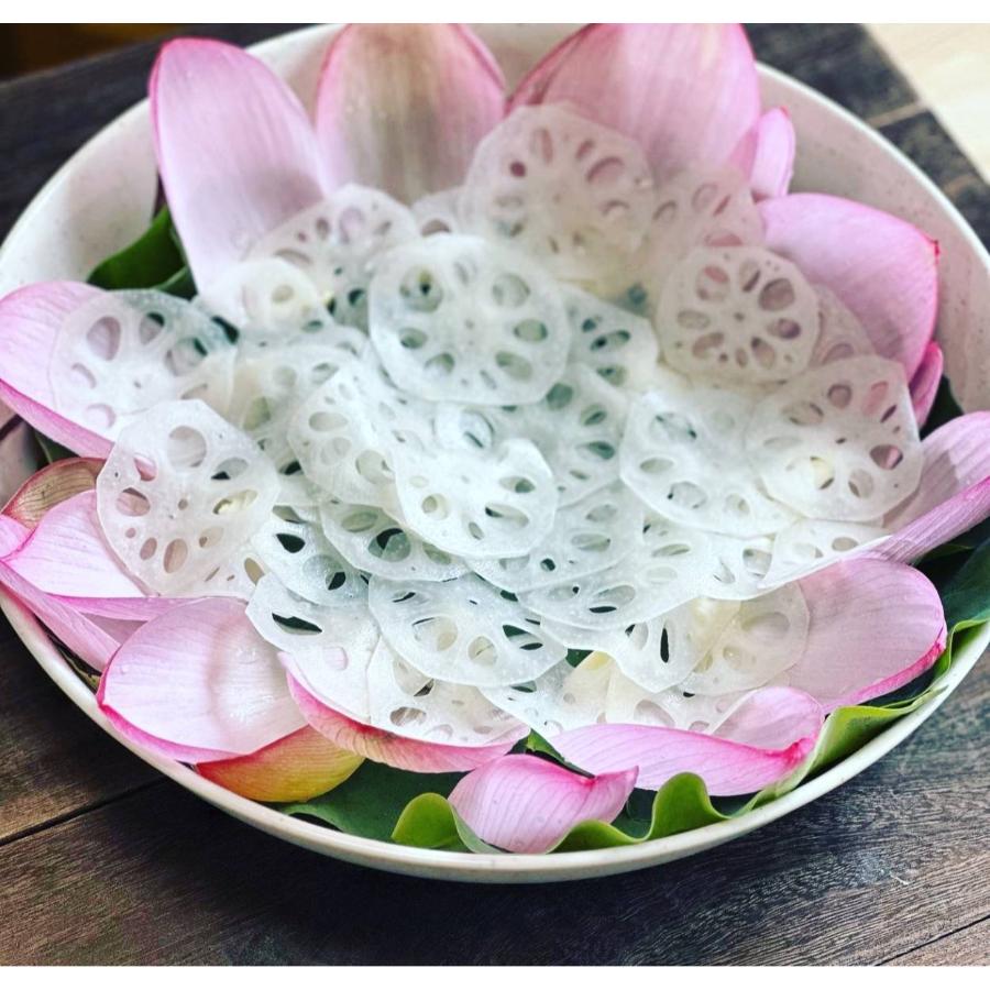 <高須農園>ひかりれんこん1kg(黒化粧箱入)【三越伊勢丹選定】