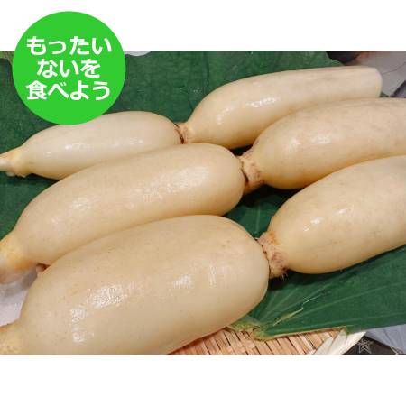 【もったいない！を食べよう】＜高須農園＞訳ありひかりれんこん４kg