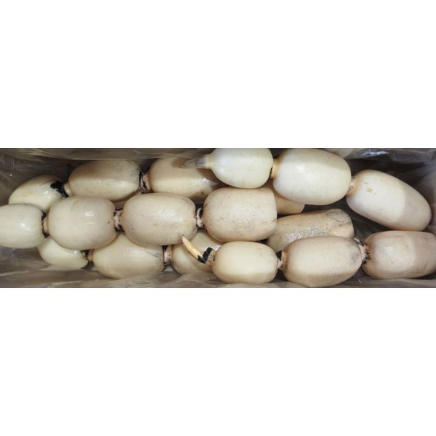 <高須農園>ひかりれんこん4kg(白段ボール入)【三越伊勢丹選定】
