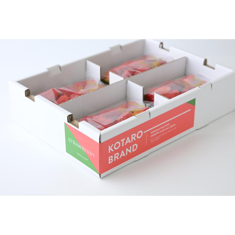 <KOTARO-BRAND>いばらキッス ×4パック