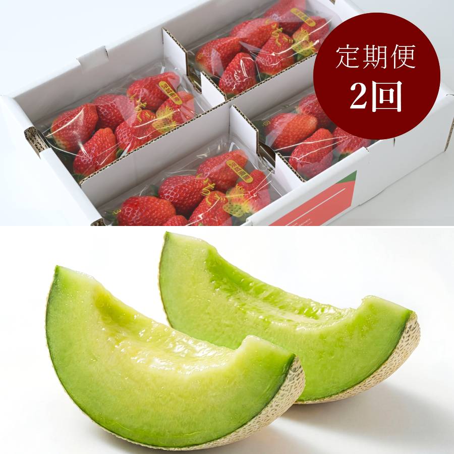 <KOTARO-BRAND>茨城県産メロンとイチゴの定期便