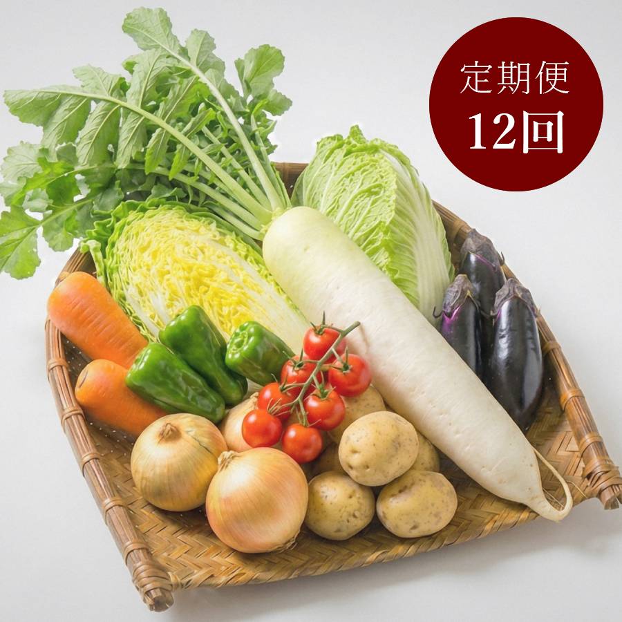 <KOTARO-BRAND>茨城県鉾田産直 野菜ボックス定期便 12カ月コース