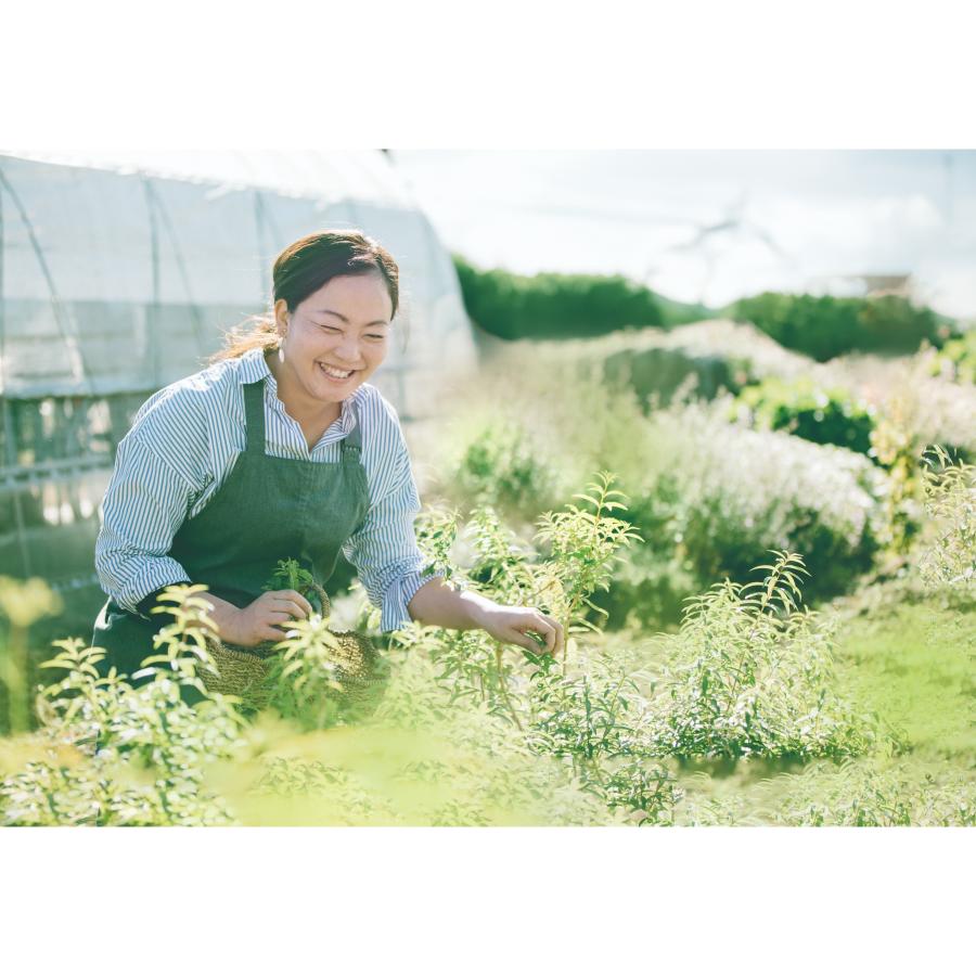 ＜ヒロコハーブス＞ハーブティ－　カモミン　31ティーバッグ入り