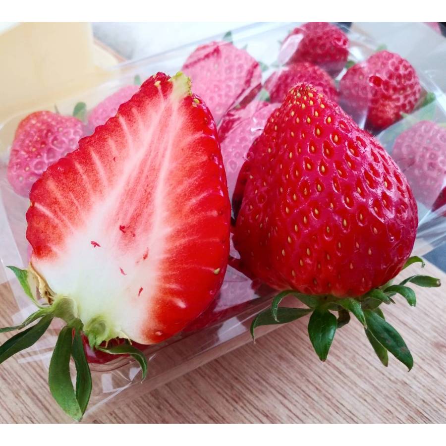 坂東太郎オリジナルブランドいちご【坂東姫】12粒×5箱