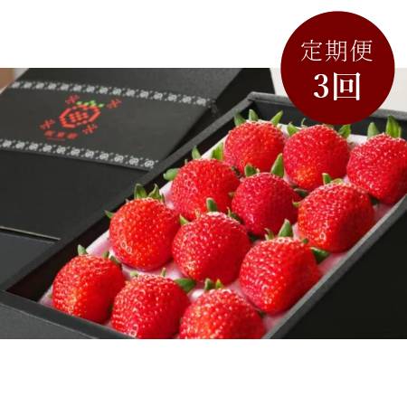坂東太郎オリジナルブランドいちご【坂東姫】12粒×2箱 【3回定期便】※1月~3月発送
