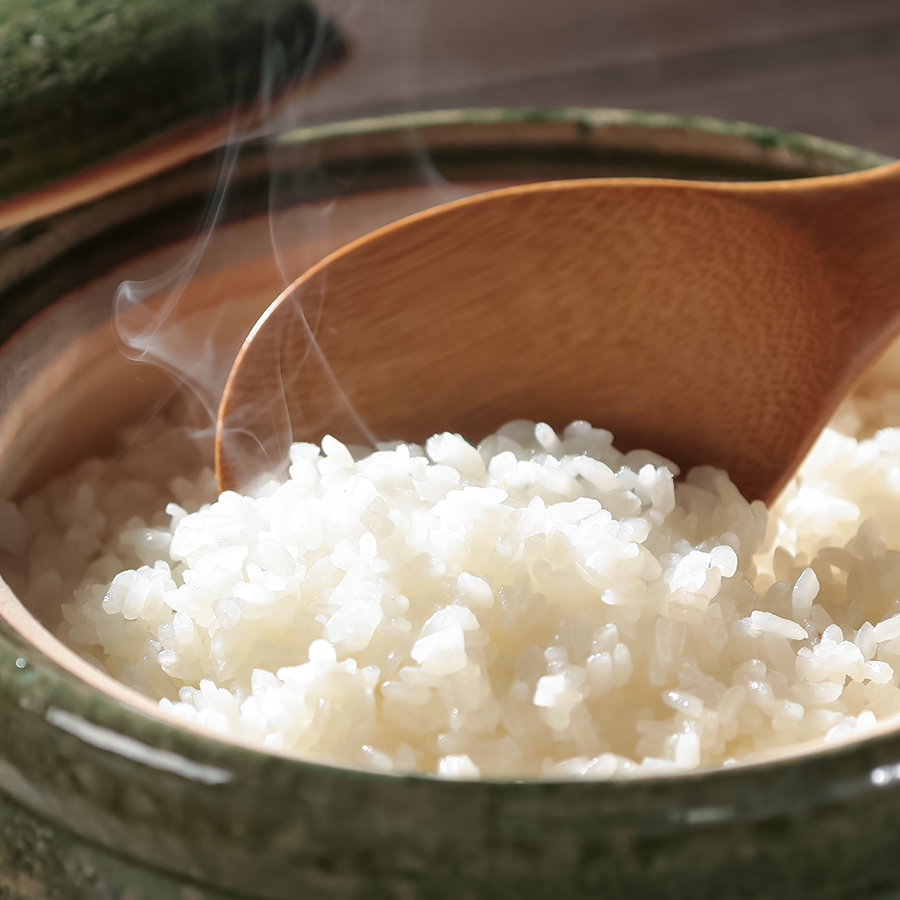 茨城県古河市産コシヒカリ10kg【12か月定期便】