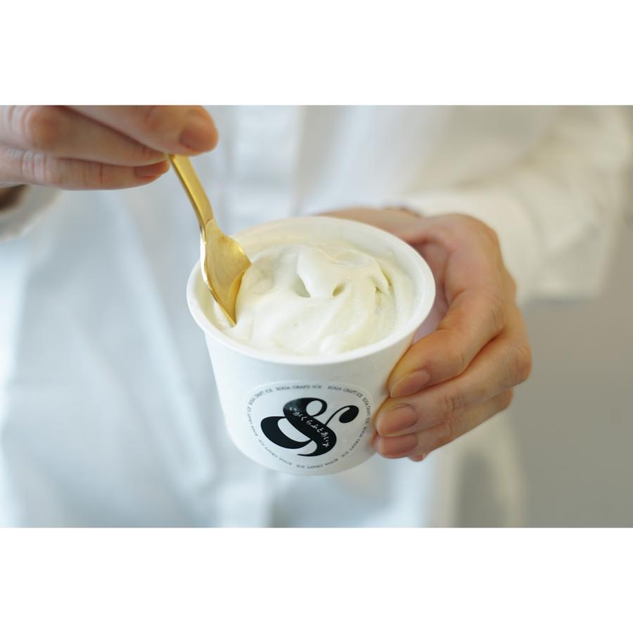 こがくらふとあいす& 8個セット(牛乳&いちご)