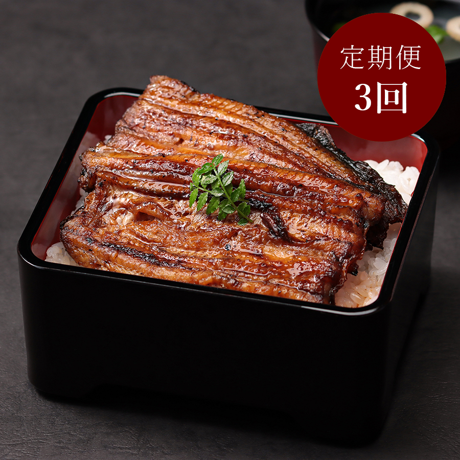 ＜増田家＞うなぎ　かば焼き　特上2人前　備長木炭使用【3か月定期便】（三越伊勢丹選定）
