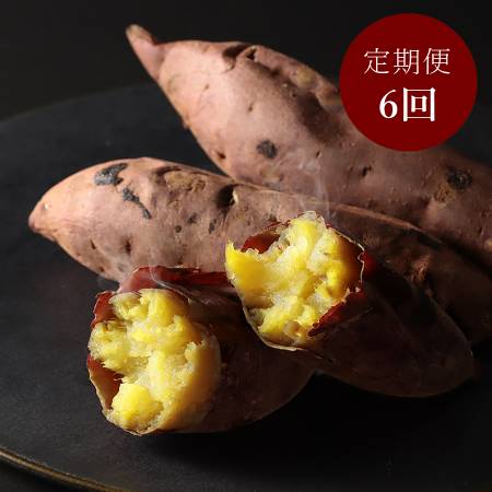 スイーツのような甘さ　焼き蜜いも1.2㎏（8本入り）【６か月定期便】