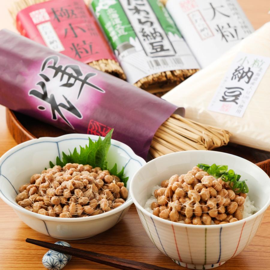杉本納豆 お勧めセット