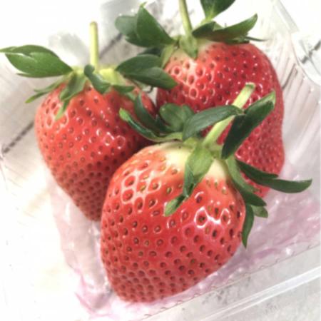 ＜イチゴヤ78％＞贈答規格 やよいひめ(280g×2パック)