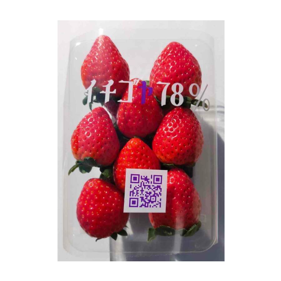 <イチゴヤ78%>とちおとめ(260g×4パック) 定期便3カ月コース【12月下旬~2月下旬お届け】