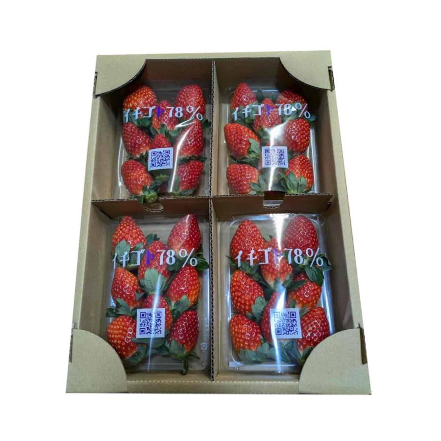 <イチゴヤ78%>とちおとめ(260g×4パック) 定期便3カ月コース【12月下旬~2月下旬お届け】