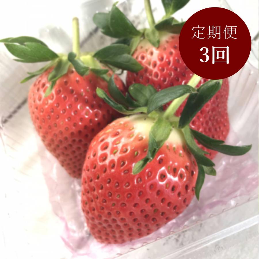 ＜イチゴヤ78％＞やよいひめ(260g×4パック) 定期便3カ月コース【12月下旬～2月下旬お届け】