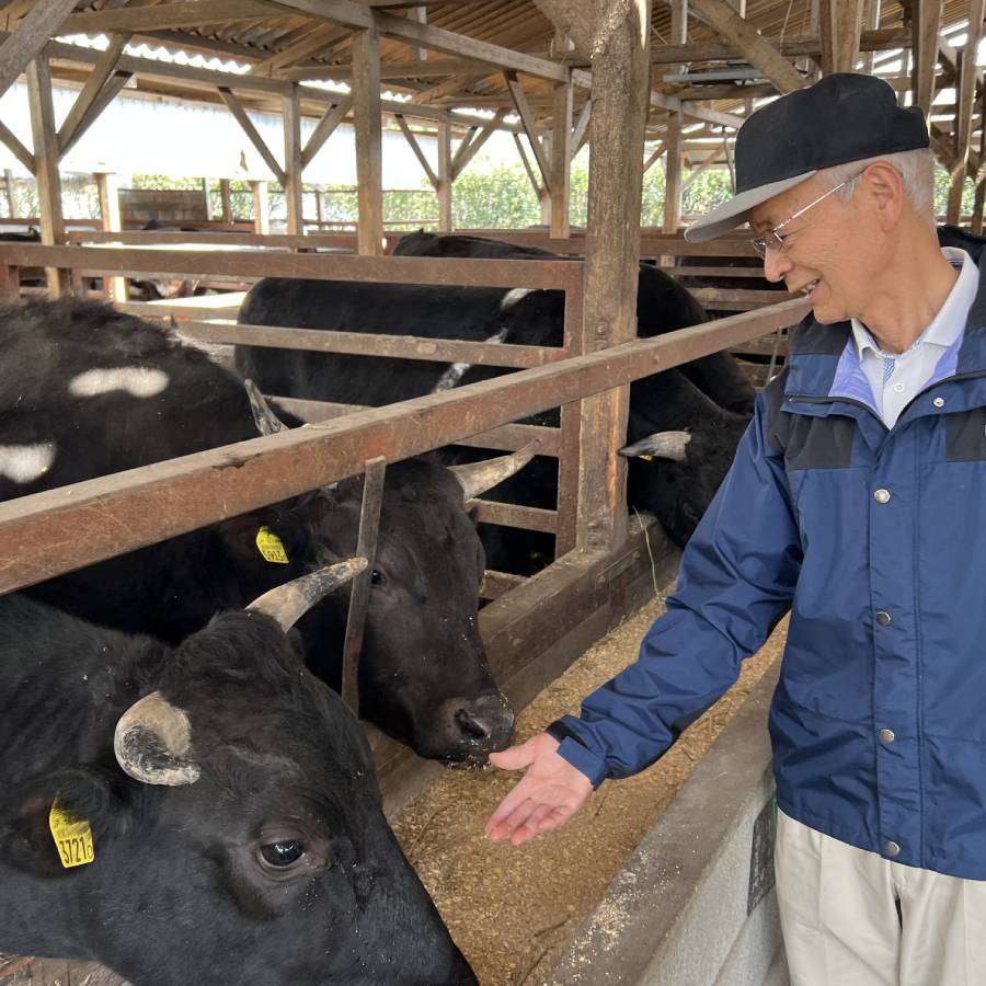 平成30年農林水産大臣賞受賞＜安達牧場＞「常陸牛」希少部位 おまかせ詰め合わせ 　ステーキ600ｇ