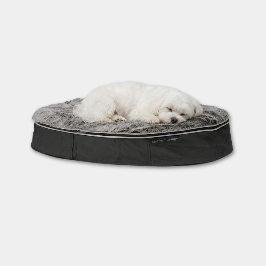 ＜アンビエントラウンジ＞ペットラウンジ　低反発クッション　犬猫ベッド　Sサイズ／グレー／ラビットグレー／ロータイプ／エリートコア