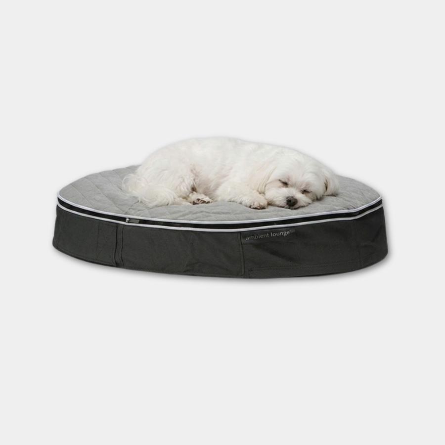 <アンビエントラウンジ>ペットラウンジ 低反発クッション Sサイズ/犬猫ベッド グレー/キルトグレー/ロータイプ/エリートコア