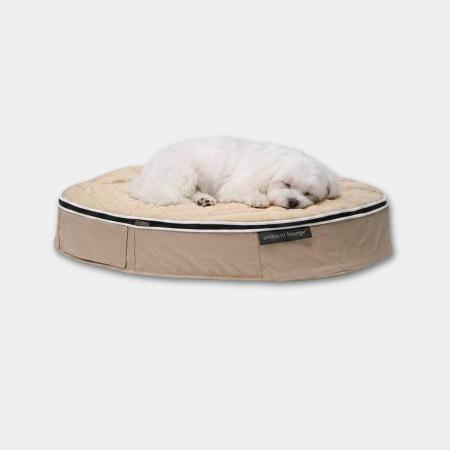 ＜アンビエントラウンジ＞ペットラウンジ　低反発クッション　犬猫ベッド　Sサイズ／ベージュ／キルトベージュ／ロータイプ／エリートコア