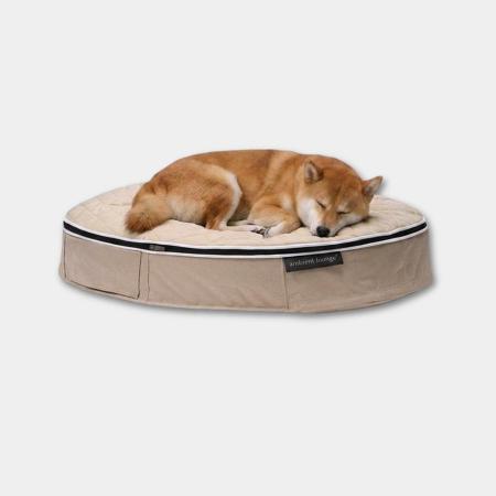 ＜アンビエントラウンジ＞ペットラウンジ　低反発クッション　犬猫ベッド　Mサイズ／ベージュ／キルトベージュ／ロータイプ／エリートコア