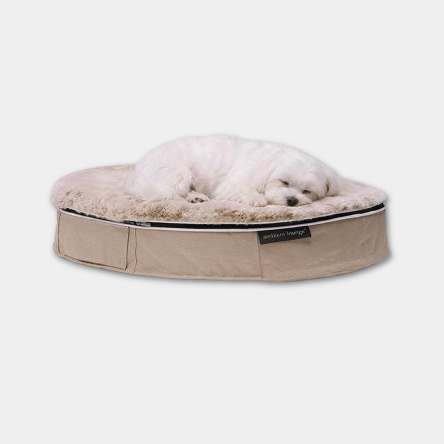 <アンビエントラウンジ>ペットラウンジ 低反発クッション 犬猫ベッド Sサイズ/ベージュ/ラビットベージュ/ロータイプ/エリートコア