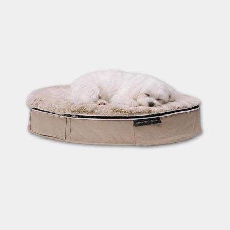 ＜アンビエントラウンジ＞ペットラウンジ　低反発クッション　犬猫ベッド　Sサイズ／ベージュ／ラビットベージュ／ロータイプ／エリートコア