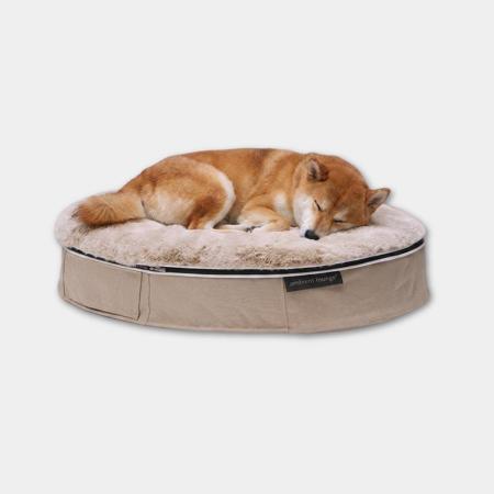 ＜アンビエントラウンジ＞ペットラウンジ　低反発クッション　犬猫ベッド　Mサイズ／ベージュ／ラビットベージュ／ロータイプ／エリートコア