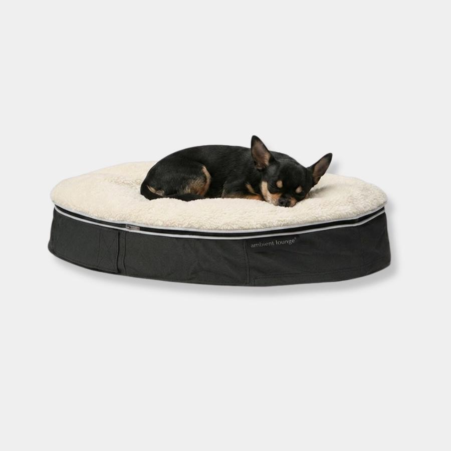 <アンビエントラウンジ>ペットラウンジ 低反発クッション 犬猫ベッド XSサイズ/グレー/シープオーガニック/ロータイプ/エリートコア