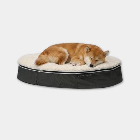 ＜アンビエントラウンジ＞ペットラウンジ　低反発クッション　犬猫ベッド　Mサイズ／グレー／シープオーガニック/ロータイプ／エリートコア